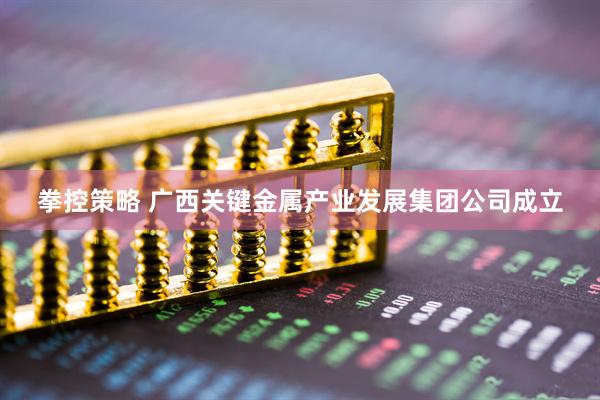 拳控策略 广西关键金属产业发展集团公司成立